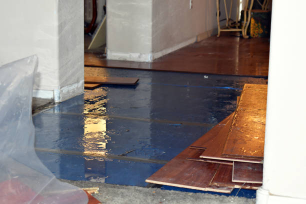 Professional Water Damage Restoration technician working in Reese, MI